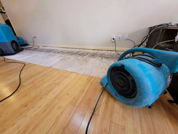 Professional Flood Damage Cleanup technician working in Clinton, OK